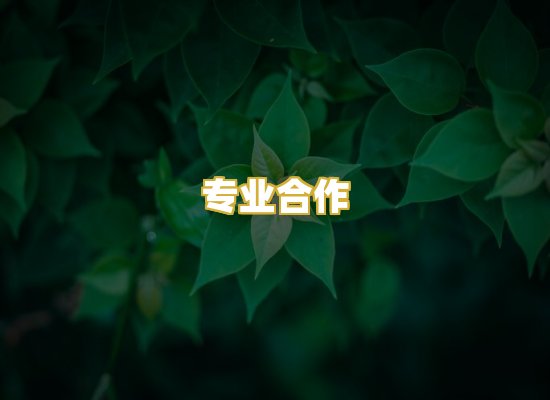 专业合作